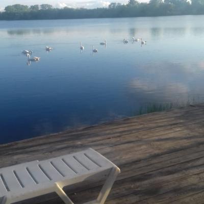 Img 20190709 Wa0001