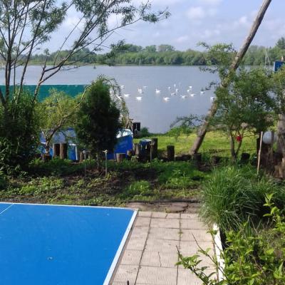Img 20190709 Wa0002